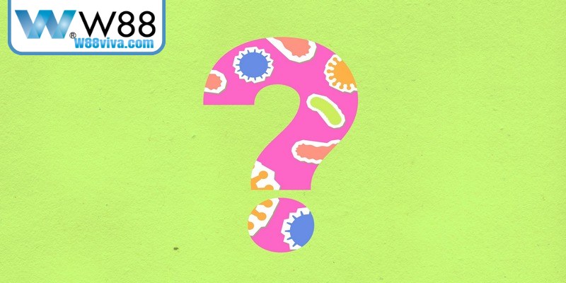 Soi Cầu Bạch Thủ Lô Hay Đảm Bảo Kết Quả Tốt Cho Bạn 20 Giải đáp các thắc mắc phổ biến xoay quanh dàn đề 15 số chuẩn W88